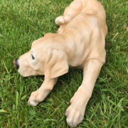 Animal Crackers Laying Golden Labrador Figurine, Large (44Cm Long) Realistic Home Or Garden Ornament Or Memorial - thumbnail 3