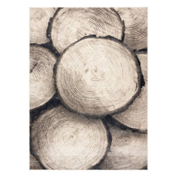 RugsX Carpet Fusion 9612 Cream Beige - Tree Wood, Modern, Abstract 180X270 Cm - thumbnail 2
