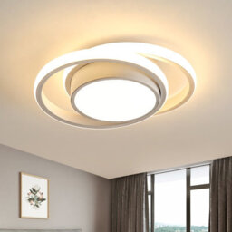 Pheashine Double Circular Led Ceiling Light, 36W 3000K Warm Light 27X22X7Cm, Modern Ceiling Lamp For Bedroom Hallway Living Room - thumbnail 2