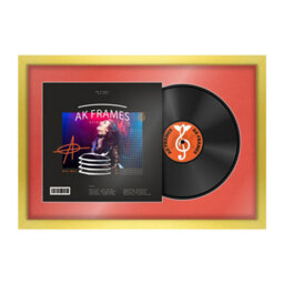 "AK Frames 25X17"" Gold Modern Vinyl Record Frame With Poppy Red Mount For 12 Inch Lp Cover & Disc - Overlapped Design"