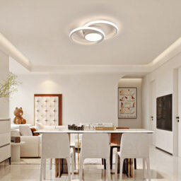Pheashine White Round Led Ceiling Light Dimmable Modern Design 3000K-6000K - thumbnail 7