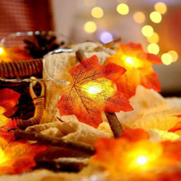 Amorly 2Pack Halloween Pumpkin & Maple Leaf Light Garland, 3M 20 Led Battery Operated Autumn Fairy Lights, Indoor Outdoor Home Decor - thumbnail 7