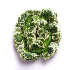 Best Artificial 7Ft - 210Cm Variegated Crab-Apple Ivy Garland String Strand Twine Decoration - Il04 - thumbnail 3