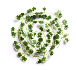 Best Artificial 7Ft - 210Cm Variegated Crab-Apple Ivy Garland String Strand Twine Decoration - Il04 - thumbnail 2