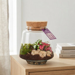 Small Mercury Terrarium With Led Light - 12Cm - thumbnail 4