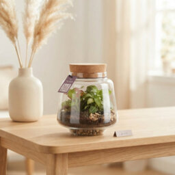 Small Mercury Terrarium With Led Light - 12Cm - thumbnail 7