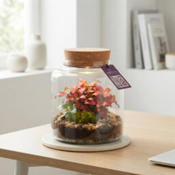 Small Mercury Terrarium With Led Light - 12Cm - thumbnail 1