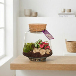 Small Mercury Terrarium With Led Light - 12Cm - thumbnail 2
