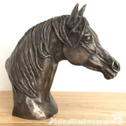 Animal Crackers Arab Horse Head Figurine In Solid Cold Cast Bronze Designed By Harriet Glen - thumbnail 5