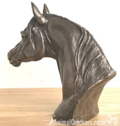 Animal Crackers Arab Horse Head Figurine In Solid Cold Cast Bronze Designed By Harriet Glen - thumbnail 6