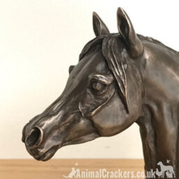 Animal Crackers Arab Horse Head Figurine In Solid Cold Cast Bronze Designed By Harriet Glen - thumbnail 4
