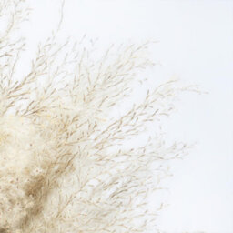 OHS Pampas Grass Faux Fluffy In Vase Artificial Natural Style Plant Decorative Home - thumbnail 7