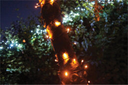Eagle Connect String Lights Black Rubber Ip65 10M/80 Led Copper Gold - thumbnail 7