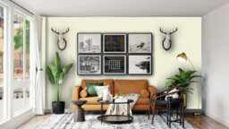 Crown Trade Vinyl Matt Walls & Ceilings Emulsion Paint Chaise Longue (D1850S) 10L - thumbnail 5