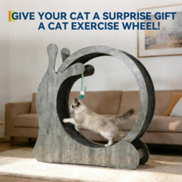 London Boutique Silent Cat Exercise Wheel For Indoor Cats, Wooden Treadmill With Removable Carpet, Scratching Board, Play Balls - thumbnail 4