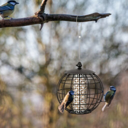 Costway Squirrel-Proof Bird Feeder For Outdoor Hanging Caged Seed Feeder For Wild Birds - thumbnail 3