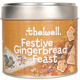 Hy Thelwell Collection Festive Gingerbread Feast Candle Brown (One Size) - thumbnail 1