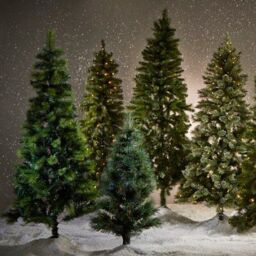 Skip20D 6Ft 183Cm Oslo Slim Tree - thumbnail 4