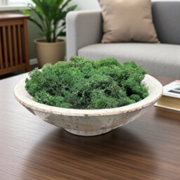 Carbeth Plants Dark Green Reindeer Moss 500G Box - Natural Preserved Moss For Crafts, Terrariums & Display - thumbnail 3