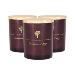 Nicola Spring 3X Cinnamon & Orange Scented Candles 130G 21H Natural Single Wick Soy Wax Aromatherapy Candle Home Fragrance