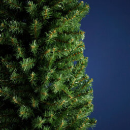 QGS 168 Cm 5Ft 6 Glenmore Slim Artificial Pine Christmas Tree Perfect For Smaller Rooms & Limited Spaces - thumbnail 3