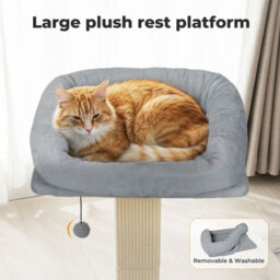 Skylos 71Cm Cat Tree Cat Scratching Post Climbing Tower With Kitten Bed Toy - thumbnail 5