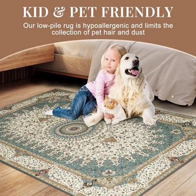 Ameha Non Slip Cashmere Rugs Soft Luxury Modern Area Rug Living Room Modern Dinning Room Geometric Willow Teal Carpets - image 1