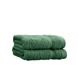 Catherine Lansfield Zero Twist Cotton Face Cloth Pair Forest Green - thumbnail 3