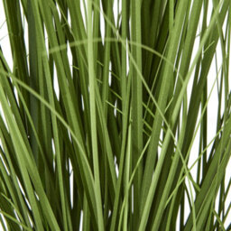 Wyld Haus 90Cm Purple Agapanthus Artificial Plant Pot Not Included - thumbnail 5