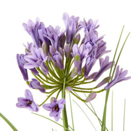 Wyld Haus 90Cm Purple Agapanthus Artificial Plant Pot Not Included - thumbnail 3