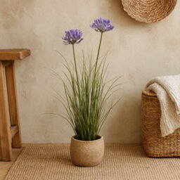 Wyld Haus 90Cm Purple Agapanthus Artificial Plant Pot Not Included