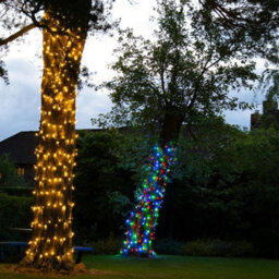 Christmas Tree World Crownvine 10M Fairy Lights Starter Set - 100 Leds Warm White - Black Rubber Cable - thumbnail 5