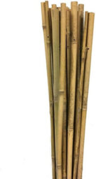 Prime Plus Bamboo Cane 3Ft (90Cm) Plant Support Pack Of 50 Garden ( 10 - 12mm) - thumbnail 2