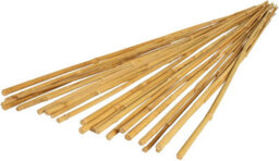Prime Plus Bamboo Cane 3Ft (90Cm) Plant Support Pack Of 50 Garden ( 10 - 12mm) - thumbnail 1