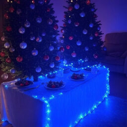 HSD 100 Led Blue & White String Lights (6.9M) - Battery Fairy Lights For Christmas, Weddings, And Home Decor - thumbnail 4