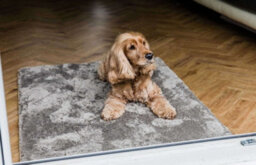 eXtreme Dog Big Softie Rug Taupe 67 X 100Cm - thumbnail 2