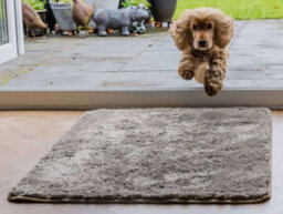 eXtreme Dog Big Softie Rug Taupe 67 X 100Cm - thumbnail 1