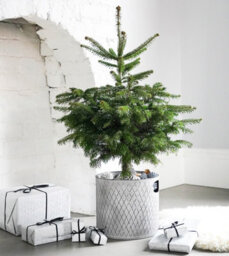 Ivyline Indoor Christmas Tree Bucket - Galvanized Steel - L23 X W23 X H23 Cm - Zinc - thumbnail 5