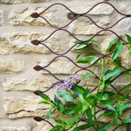 Ivyline Outdoor Honeycomb Trellis - Mild Steel - L2.5 X W78 X H110 Cm - Bronze - thumbnail 4