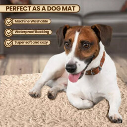 Ameha Beige Shaggy Door Mat 50X80 Cm For Bedroom Non Slip Soft Fluffy Thick Pile Small Rug Non-Shedding Easy To Clean - thumbnail 3