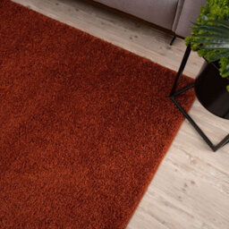 The Rugs Terra Soft Plain Design Fluffy Shaggy Rugs And Runners High Pile Living Room Kitchen Hallway 380 - thumbnail 8