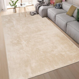 Homeart Soft Area Rugs, Anti-Slip, Machine Washable Fluffy Carpet For Living Room Bedroom Kitchen, Beige, 80X150 Cm