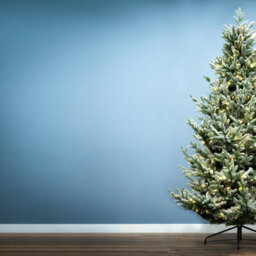 Christmas Tree World The 6Ft/180Cm Pre-Lit Frosted Ultra Mountain Pine - thumbnail 4