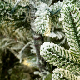 Christmas Tree World The 6Ft/180Cm Pre-Lit Frosted Ultra Mountain Pine - thumbnail 9