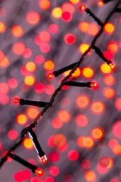 Christmas Tree World 360 Multi Function Led Lights - Red - thumbnail 1