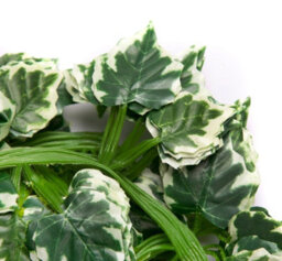 6 Best Artificial 7Ft - 210Cm Variegated Grape Ivy Garland String Strand Twine Decoration - Il01 - thumbnail 6