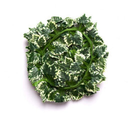 6 Best Artificial 7Ft - 210Cm Variegated Grape Ivy Garland String Strand Twine Decoration - Il01 - thumbnail 5