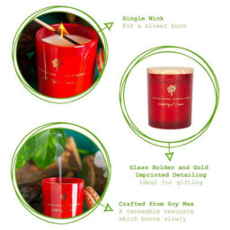 Nicola Spring Wild Fig & Cassis Scented Candle - 130G 21H Natural Single Wick Soy Wax Aromatherapy Candle Home Fragrance - thumbnail 2