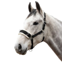 Hy Lunge Horse Cavesson Black/natural (Cob) - thumbnail 2