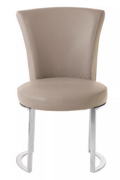 Orsina Versatile Greay Faux Leather Dining Chair, Durable Chair For Dinner, Sleek Luxury Chair For Livingroom - thumbnail 1